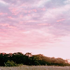 Meet your Posher, Eleanor